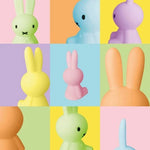 Lampička Mr Maria MIFFY Mini Light - Mystery Box | Lavly.cz