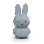 Pokladnička MIFFY "M" Silver Blue | Stylové doplňky pro děti a ženy | Lavly.cz