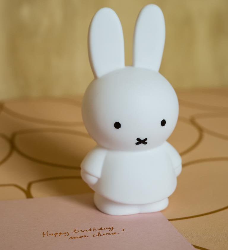 Pokladnička MIFFY "S" Pure | Stylové doplňky pro děti a ženy | Lavly.cz