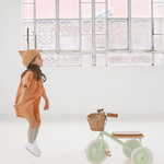 Tříkolka BANWOOD Pale Mint | Lavly.cz