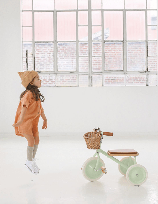 Tříkolka BANWOOD Pale Mint | Lavly.cz